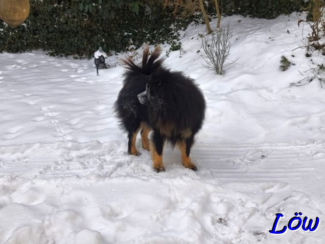 11.1.2026 - Erstaunt von der Schneemenge